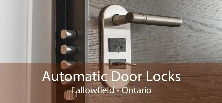 Automatic Door Locks Fallowfield - Ontario