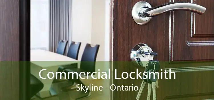 Commercial Locksmith Skyline - Ontario