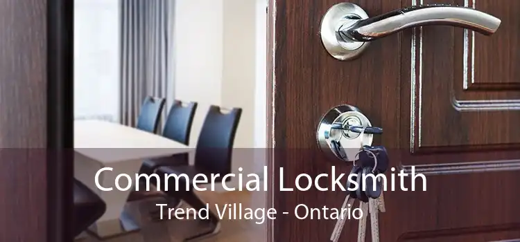 Commercial Locksmith Trend Village - Ontario