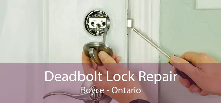 Deadbolt Lock Repair Boyce - Ontario