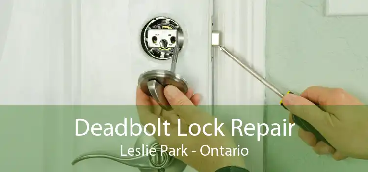 Deadbolt Lock Repair Leslie Park - Ontario