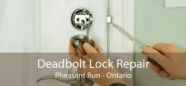 Deadbolt Lock Repair Pheasant Run - Ontario