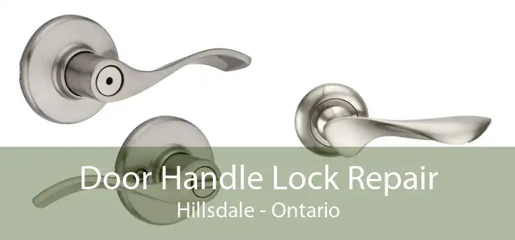 Door Handle Lock Repair Hillsdale - Ontario