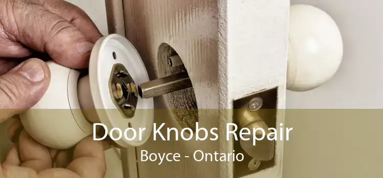 Door Knobs Repair Boyce - Ontario