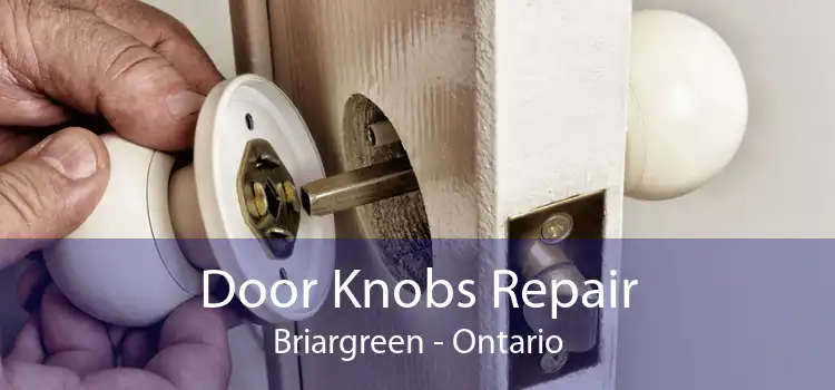 Door Knobs Repair Briargreen - Ontario