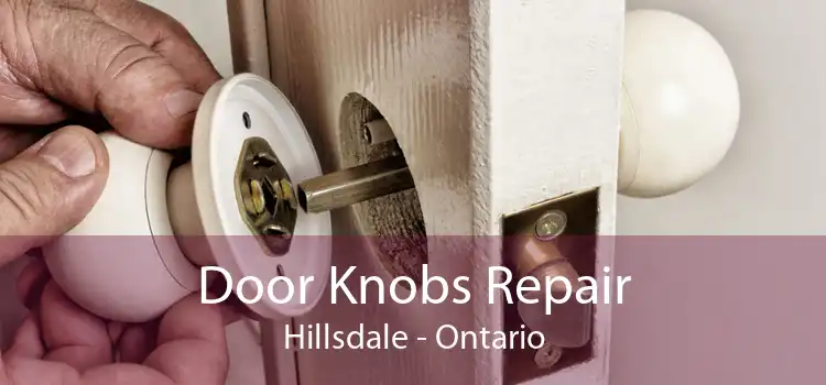 Door Knobs Repair Hillsdale - Ontario