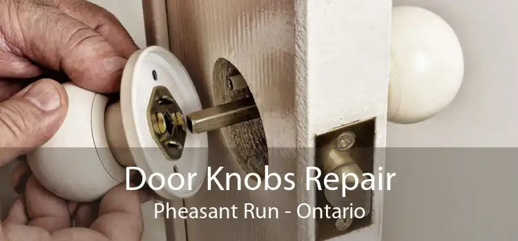 Door Knobs Repair Pheasant Run - Ontario