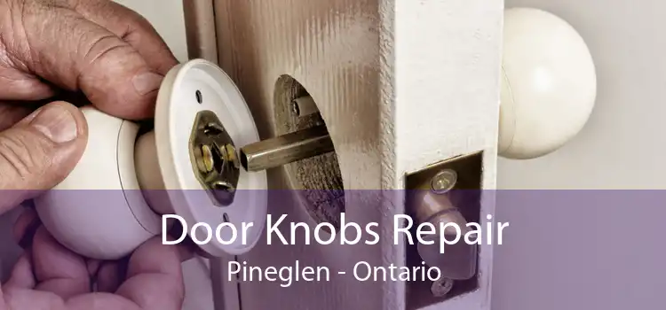 Door Knobs Repair Pineglen - Ontario