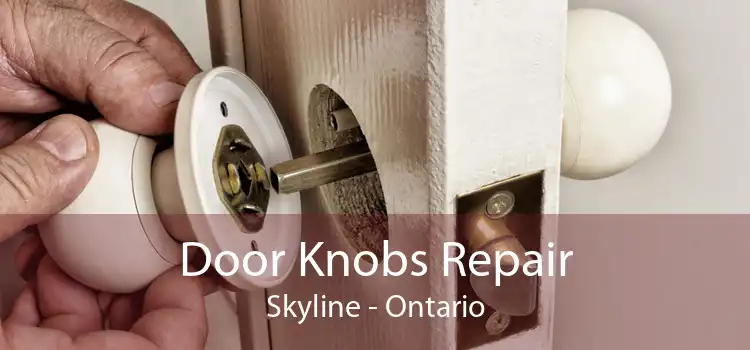 Door Knobs Repair Skyline - Ontario