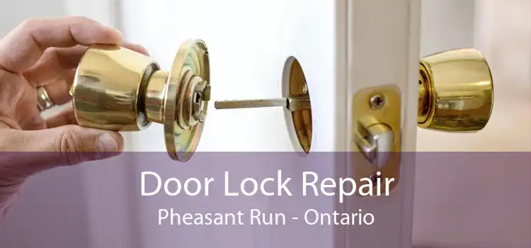 Door Lock Repair Pheasant Run - Ontario