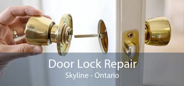 Door Lock Repair Skyline - Ontario