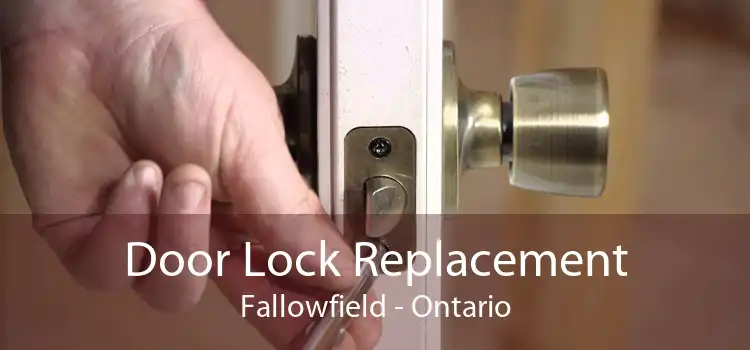 Door Lock Replacement Fallowfield - Ontario