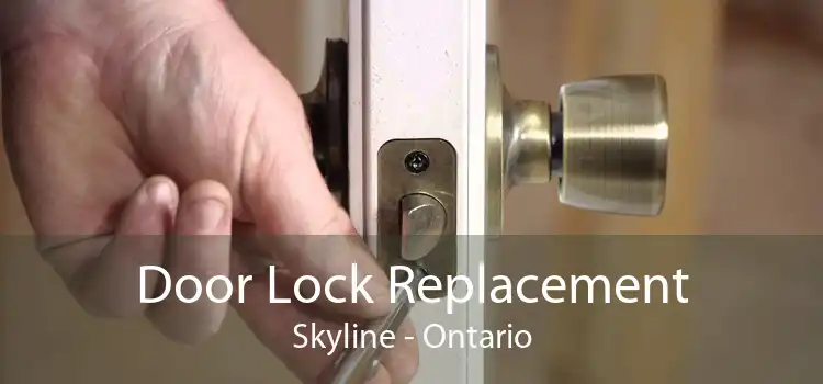 Door Lock Replacement Skyline - Ontario