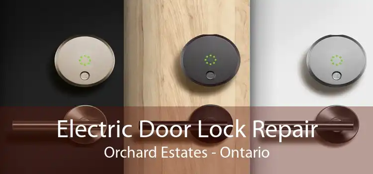 Electric Door Lock Repair Orchard Estates - Ontario