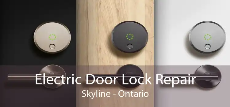 Electric Door Lock Repair Skyline - Ontario