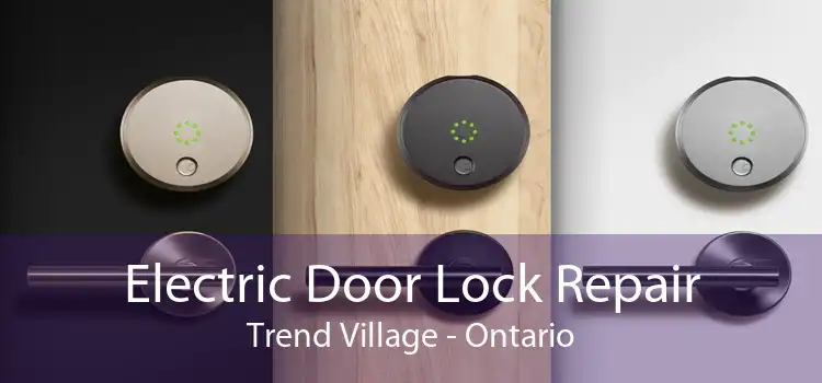 Electric Door Lock Repair Trend Village - Ontario