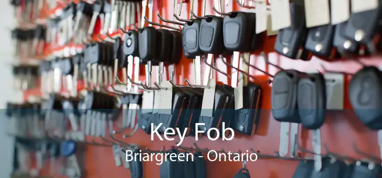 Key Fob Briargreen - Ontario