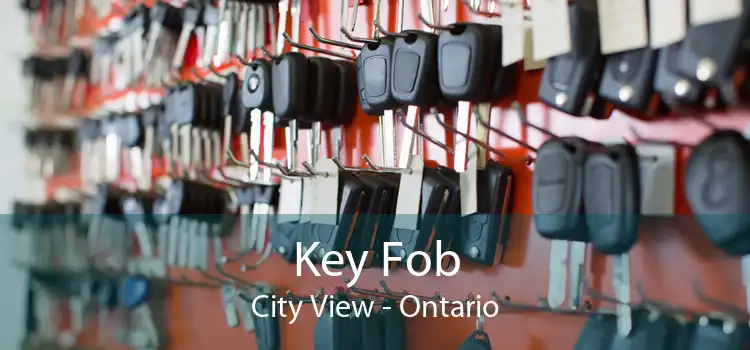 Key Fob City View - Ontario