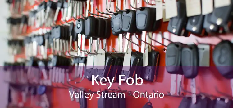 Key Fob Valley Stream - Ontario