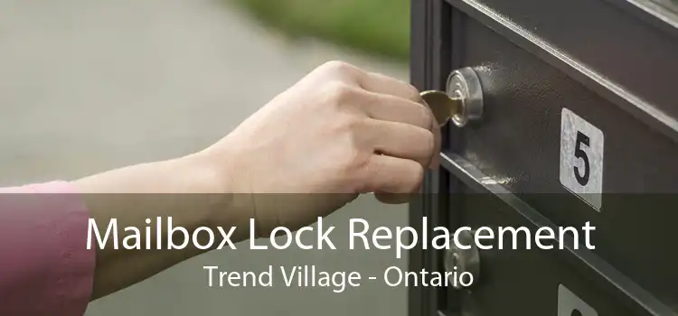 Mailbox Lock Replacement Trend Village - Ontario
