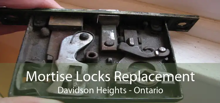 Mortise Locks Replacement Davidson Heights - Ontario