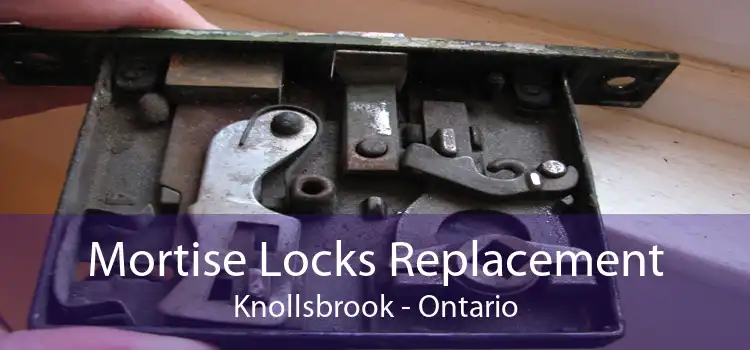 Mortise Locks Replacement Knollsbrook - Ontario