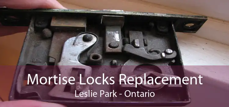 Mortise Locks Replacement Leslie Park - Ontario