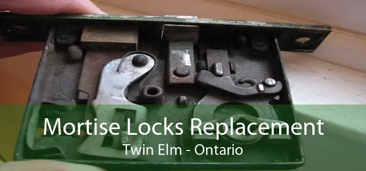 Mortise Locks Replacement Twin Elm - Ontario