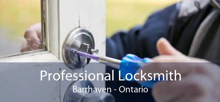 Professional Locksmith Barrhaven - Ontario