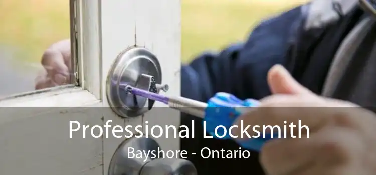 Professional Locksmith Bayshore - Ontario