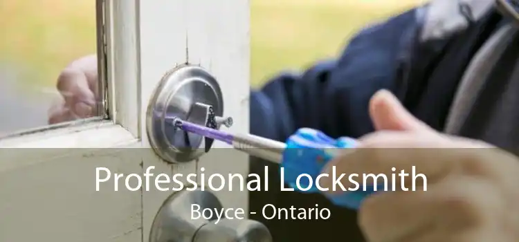 Professional Locksmith Boyce - Ontario