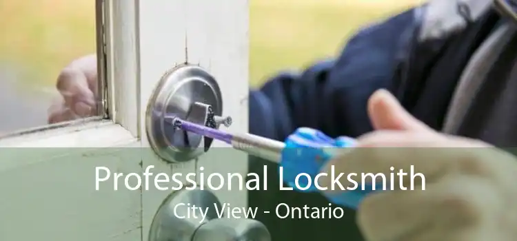 Professional Locksmith City View - Ontario