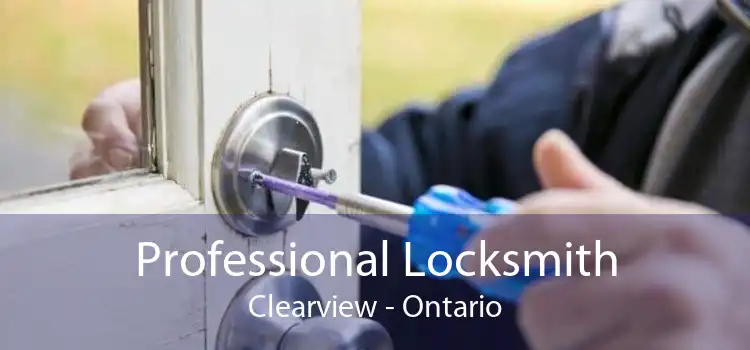 Professional Locksmith Clearview - Ontario