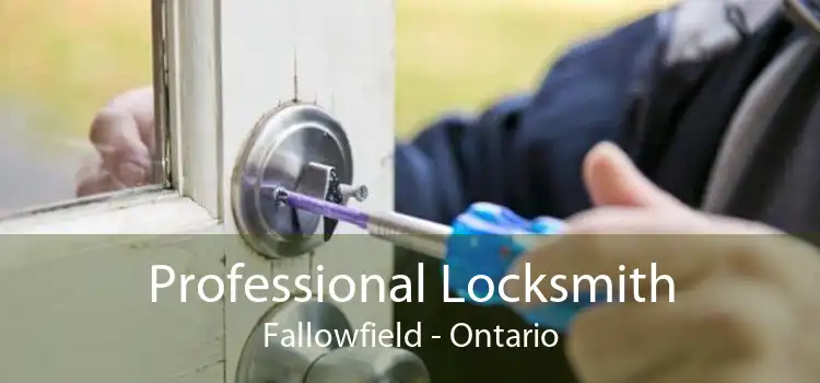 Professional Locksmith Fallowfield - Ontario