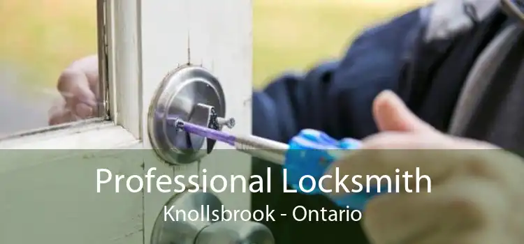 Professional Locksmith Knollsbrook - Ontario