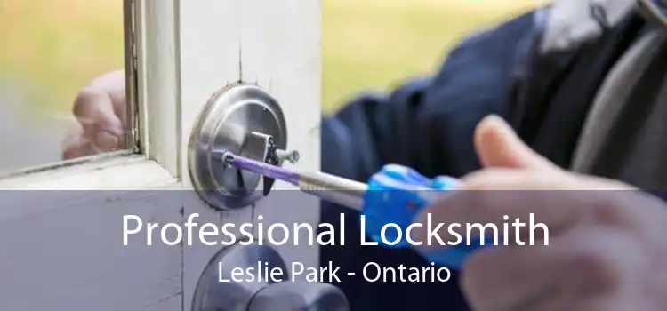 Professional Locksmith Leslie Park - Ontario