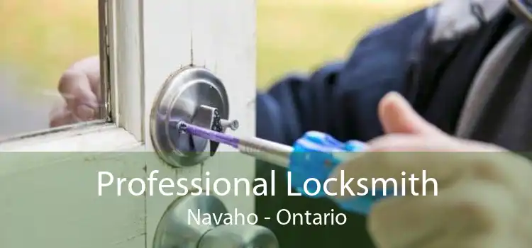 Professional Locksmith Navaho - Ontario