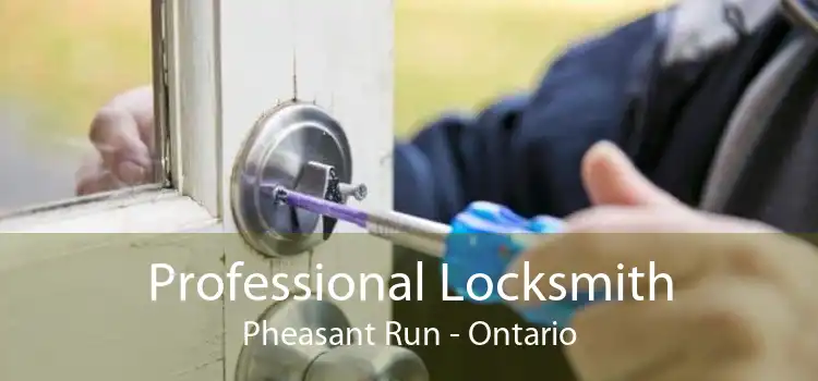 Professional Locksmith Pheasant Run - Ontario