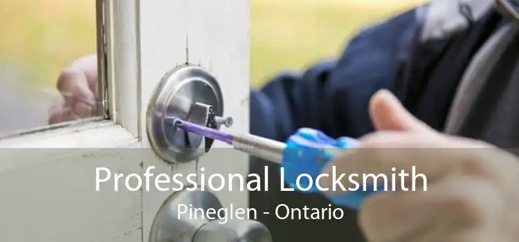 Professional Locksmith Pineglen - Ontario
