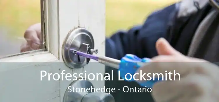 Professional Locksmith Stonehedge - Ontario