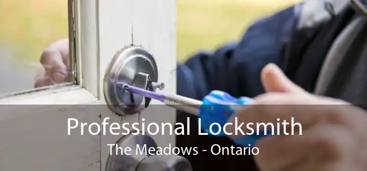 Professional Locksmith The Meadows - Ontario