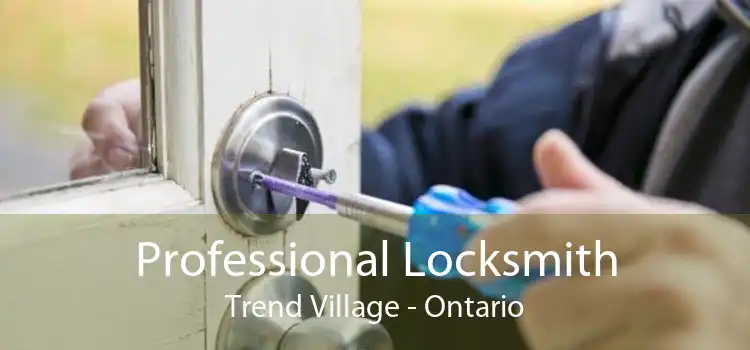 Professional Locksmith Trend Village - Ontario