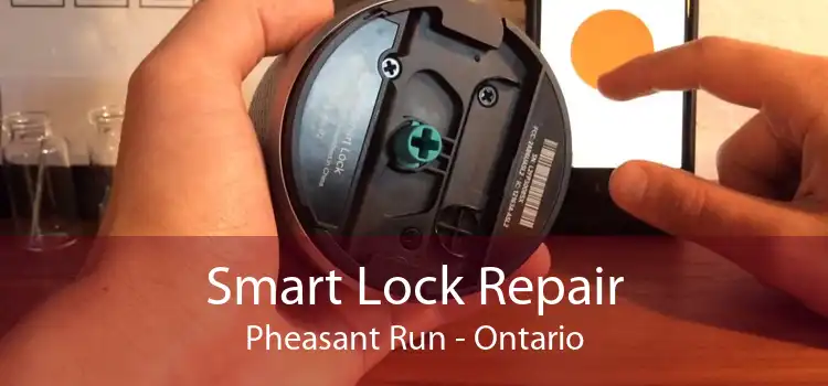Smart Lock Repair Pheasant Run - Ontario