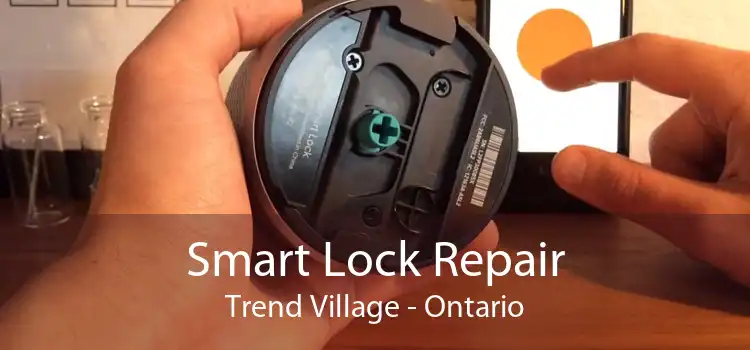Smart Lock Repair Trend Village - Ontario